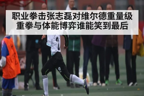 职业拳击张志磊对维尔德重量级重拳与体能博弈谁能笑到最后